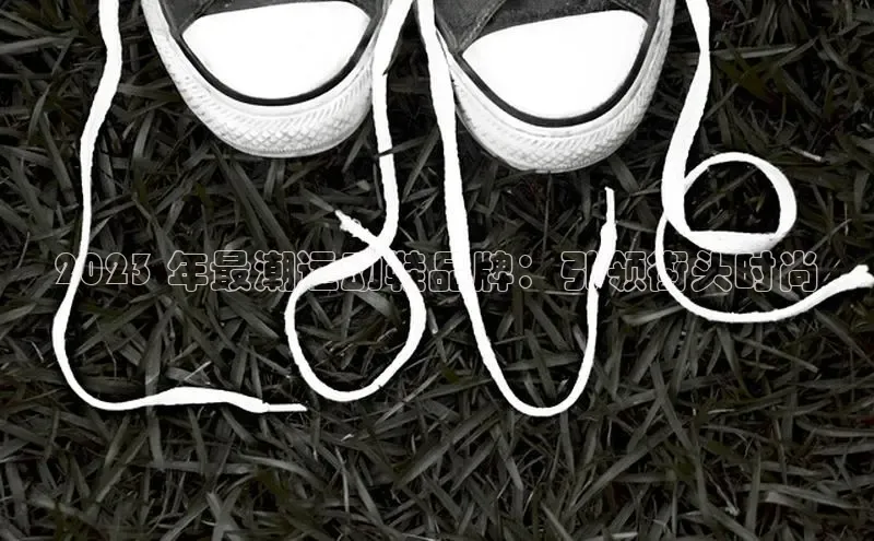 意昂3手机版官方版下载安装最新版本江铃新能源2023 年最潮运动鞋品牌：引领街头时尚