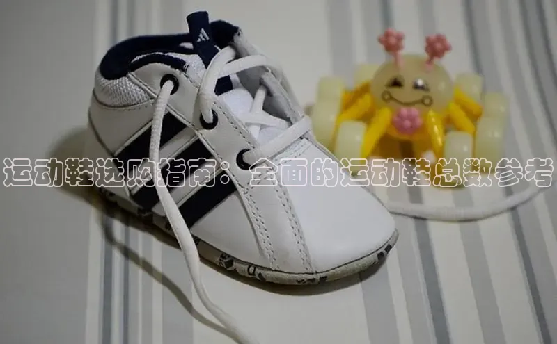 易昂体育3百度教育运动鞋选购指南：全面的运动鞋总数参考