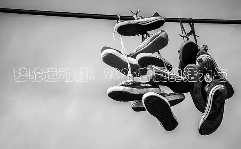 骆驼运动鞋：2025春夏的活力与